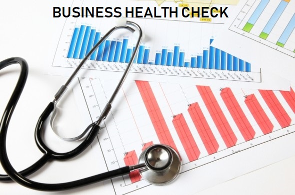 Business Health Check Report Crefin India Goa